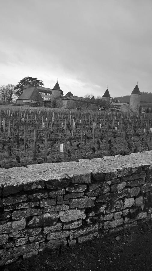 Hotel Domaine La Fontaine Du Mont Chasselas Zewnętrze zdjęcie